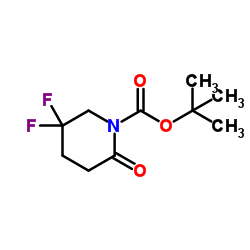 5,5-difluoro-2-oxo-piperidin-1-carboxylic acid t-butyl ester结构式