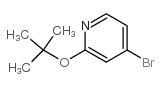4-溴-2-叔丁氧基吡啶结构式