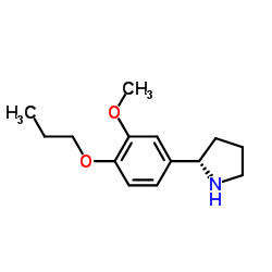 (2S)-2-(3-Methoxy-4-propoxyphenyl)pyrrolidine Structure