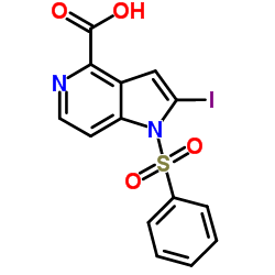 2-Iodo-1-(phenylsulfonyl)-1H-pyrrolo[3,2-c]pyridine-4-carboxylic acid结构式