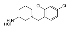 1-(2,4-Dichloro-benzyl)-piperidin-3-ylamine hydrochloride structure