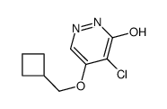 5-chloro-4-(cyclobutylmethoxy)-1H-pyridazin-6-one结构式