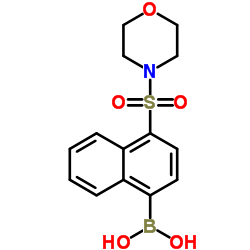 (4-(Morpholinosulfonyl)naphthalen-1-yl)boronic acid Structure