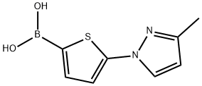 5-(3-Methyl-1H-pyrazol-1-yl)thiophene-2-boronic acid结构式