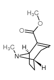 ecgonidine methyl ester mesylate Structure