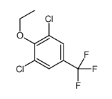 1,3-dichloro-2-ethoxy-5-(trifluoromethyl)benzene结构式