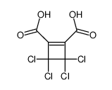 3,3,4,4-tetrachlorocyclobut-1-ene-1,2-dicarboxylic acid结构式