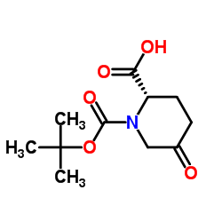 (2S)-1-[(2-methylpropan-2-yl)oxycarbonyl]-5-oxopiperidine-2-carboxylic acid图片