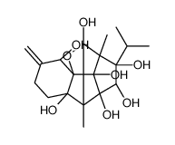 9,21-didehydroryanodol Structure