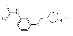 N-[3-(3-Pyrrolidinylmethoxy)phenyl]acetamide hydrochloride结构式