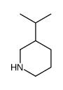 3-isopropylpiperidine(SALTDATA: FREE) Structure