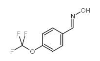 4-(三氟甲氧基)苯甲醛肟图片