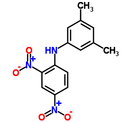 N-(3,5-Dimethylphenyl)-2,4-dinitroaniline结构式