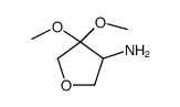 3-Furanamine,tetrahydro-4,4-dimethoxy-(9CI)结构式