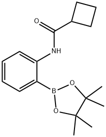 N-[2-(4,4,5,5-tetramethyl-1,3,2-dioxaborolan-2-yl)phenyl]cyclobutanecarboxamide Structure