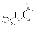 5-tert-butyl-2-methylfuran-3-carboxylic acid structure