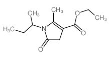 ethyl 1-butan-2-yl-2-methyl-5-oxo-4H-pyrrole-3-carboxylate结构式