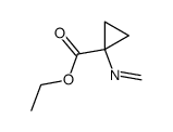 1-N-methyleneaminocyclopropan-1-carbonsaeureethylester Structure