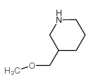 3-甲氧基甲基哌啶结构式