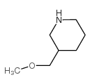 3-(methoxymethyl)piperidine structure