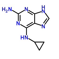 2-氨基-6-环丙基氨基-9H-嘌呤结构式