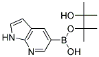 7-azaindole-5-boronic acid pinacol ester结构式