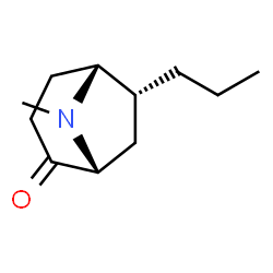 8-Azabicyclo[3.2.1]octan-2-one,8-methyl-6-propyl-,(1R,5R,6R)-rel-(9CI) picture