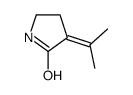 2-Pyrrolidinone,3-(1-methylethylidene)-(9CI) picture