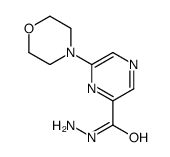6-morpholin-4-ylpyrazine-2-carbohydrazide结构式