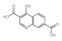 4-oxo-1H-quinoline-3,7-dicarboxylic acid结构式
