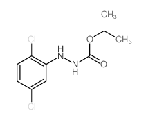 propan-2-yl N-[(2,5-dichlorophenyl)amino]carbamate Structure