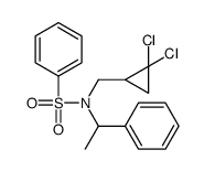 N-[(2,2-dichlorocyclopropyl)methyl]-N-(1-phenylethyl)benzenesulfonamide结构式