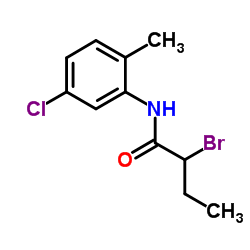 2-Bromo-N-(5-chloro-2-methylphenyl)butanamide结构式