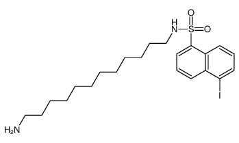 N-(12-aminododecyl)-5-iodonaphthalene-1-sulfonamide结构式