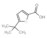 5-叔丁基噻吩-2-羧酸图片
