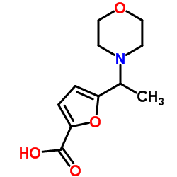5-[1-(4-Morpholinyl)ethyl]-2-furoic acid结构式