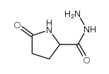 5-oxo-DL-prolinohydrazide结构式