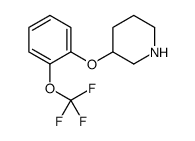 3-[2-(trifluoromethoxy)phenoxy]piperidine结构式