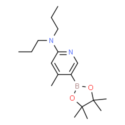 4-Methyl-N,N-dipropyl-5-(4,4,5,5-tetramethyl-1,3,2-dioxaborolan-2-yl)pyridin-2-amine结构式