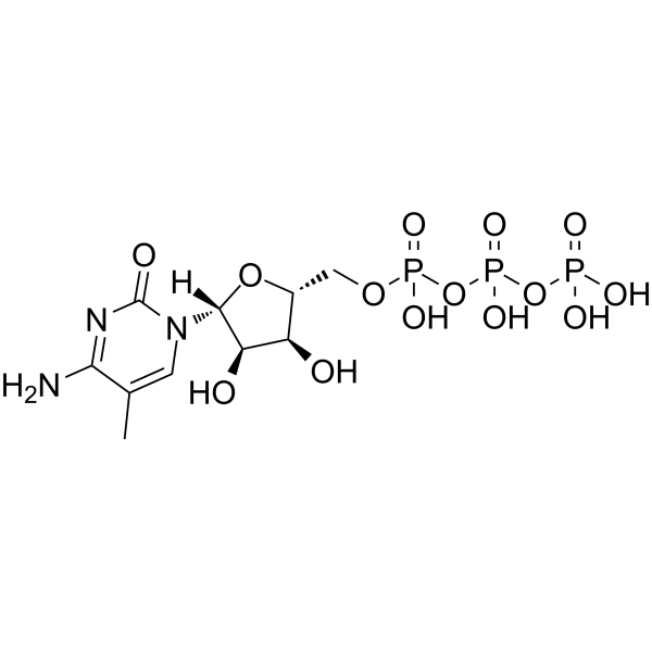 5-甲基胞苷-5'-三磷酸钠图片