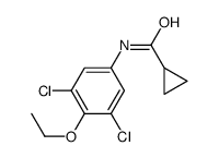 N-(3,5-dichloro-4-ethoxyphenyl)cyclopropanecarboxamide结构式