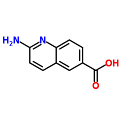 2-Amino-6-quinolinecarboxylic acid Structure