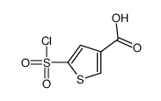 5-chlorosulfonylthiophene-3-carboxylic acid结构式