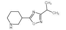 3-(3-Isopropyl-1,2,4-oxadiazol-5-yl)piperidine Structure