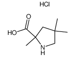 2,4,4-Trimethylpyrrolidine-2-carboxylic acid hydrochloride salt结构式