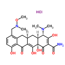 (4S,4AS,5AR,12AS)-4-(二甲基氨基)-1,4,4A,5,5A,6,11,12A-八氢-3,10,12,12A-四羟基-7-[(甲氧基甲基氨基)甲基]-1,11-二氧代-2-并四苯甲酰胺盐酸盐结构式
