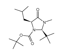 cis-2-t-Butyl-5-isobutyl-3-methyl-4-oxo-1-imidazolidincarbonsaeure-t-butylester Structure