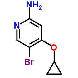 5-Bromo-4-(cyclopropyloxy)-2-pyridinamine Structure