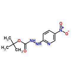 2-Methyl-2-propanyl 2-(5-nitro-2-pyridinyl)hydrazinecarboxylate structure
