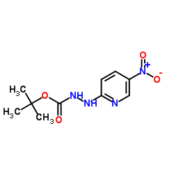 2-Methyl-2-propanyl 2-(5-nitro-2-pyridinyl)hydrazinecarboxylate结构式